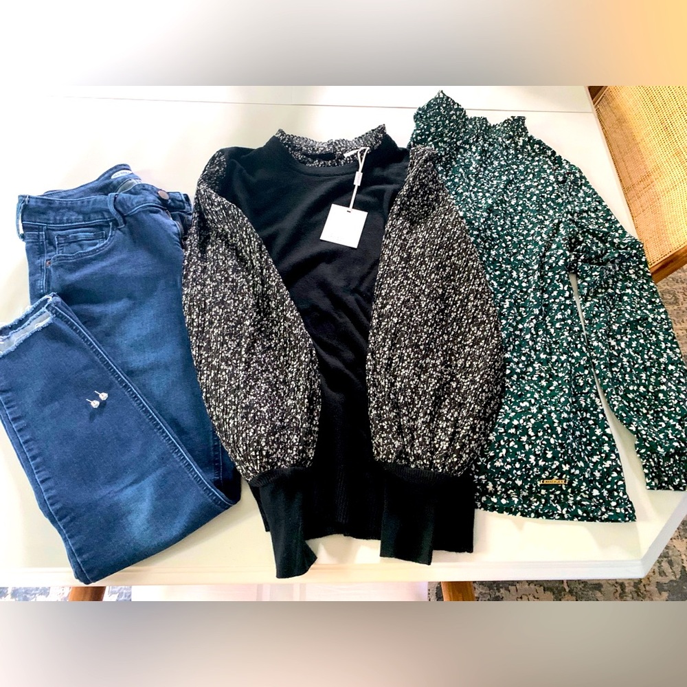 Women’s Skinny Jeans Mixed Media Tops Blouses Anne Klein Sioni Earrings 6/M